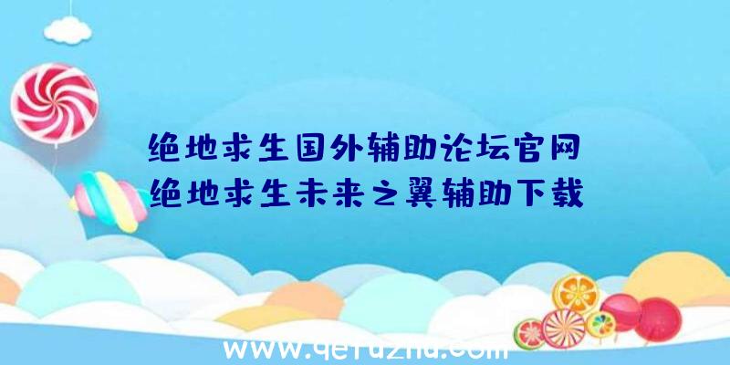 「绝地求生国外辅助论坛官网」|绝地求生未来之翼辅助下载